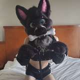 subbywulfboi leaked from onlyfans